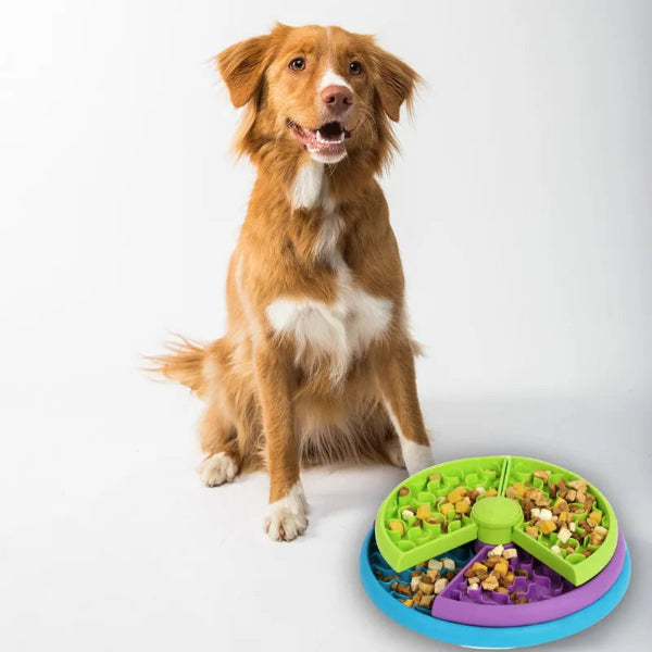 Duck Tolling Retriever with rotating slow feeder bowl