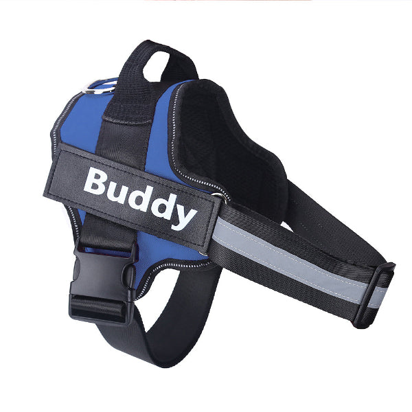 Customizable tag blue no-pull dog harness