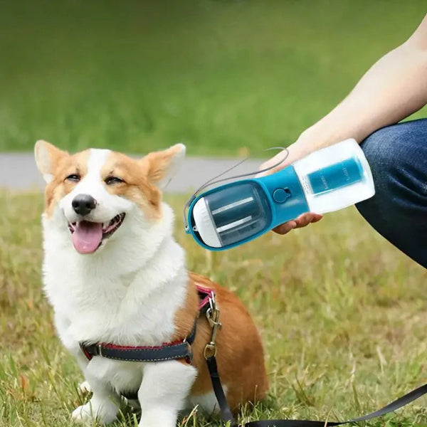 dog with portable pet feeder and water bottle