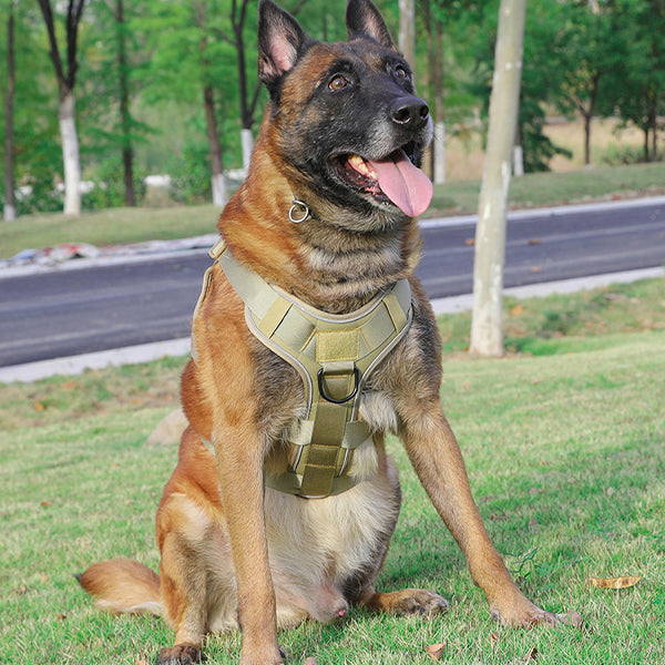 Anti-Breakaway No-Pull Tactical Dog Harness
