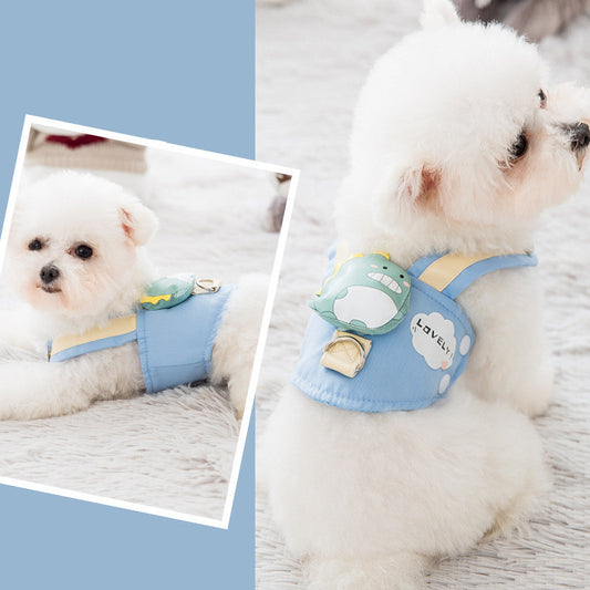 Cute Lake Blue - Dog Harness Leash Set