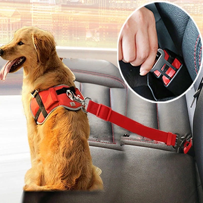 dog seatbelt with illustrationon how to use