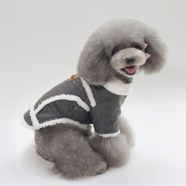 Pet Jacket for Small Breed Dogs - Dark Gray - Dog Model