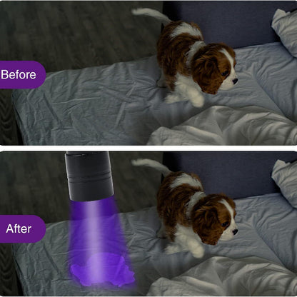 UV Flashlight Urine Detector - detecting dog's urine on bed