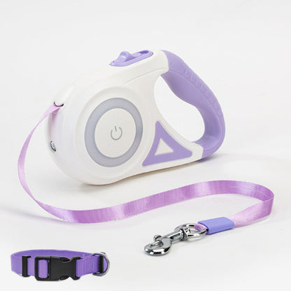 purple retractable leash and collar for small dogs or cats