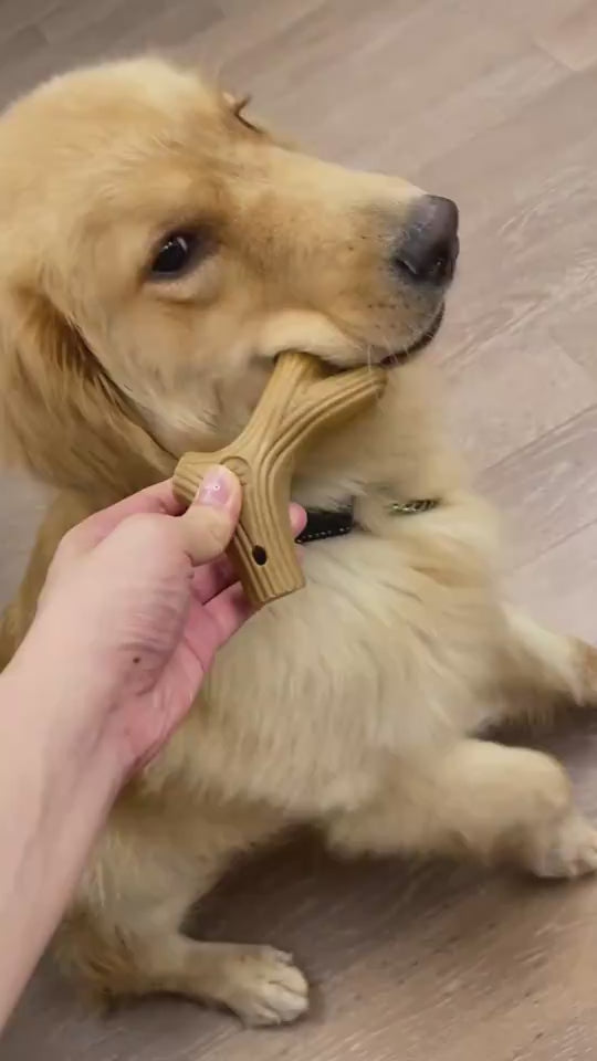 dog chew toy golden retriever video